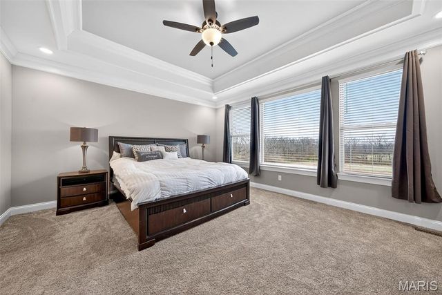 212 Bluegrass Pasture Court, Wentzville, MO 63386