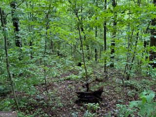 8 Black Bear Trail, Hiawassee, GA 30546