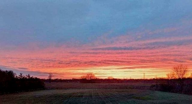 13297 N Clio Road, Vienna Twp, MI 49420