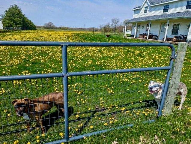 13297 N Clio Road, Vienna Twp, MI 49420