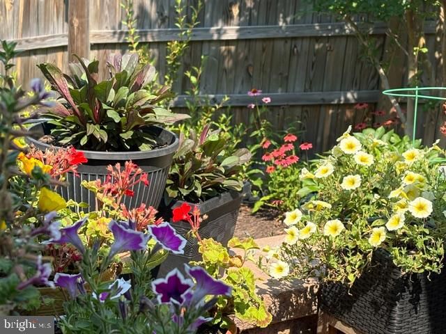 22010 BONESET WAY, Germantown, MD 20876