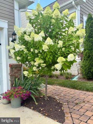 22010 BONESET WAY, Germantown, MD 20876