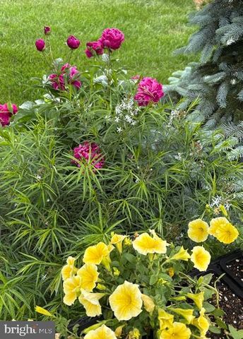 22010 BONESET WAY, Germantown, MD 20876