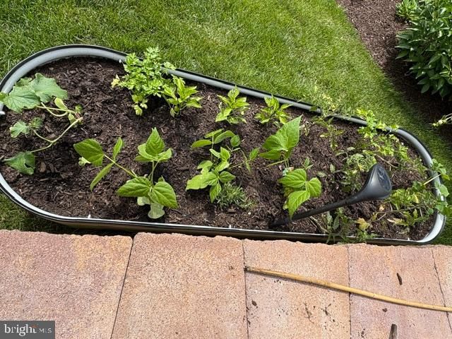 22010 BONESET WAY, Germantown, MD 20876