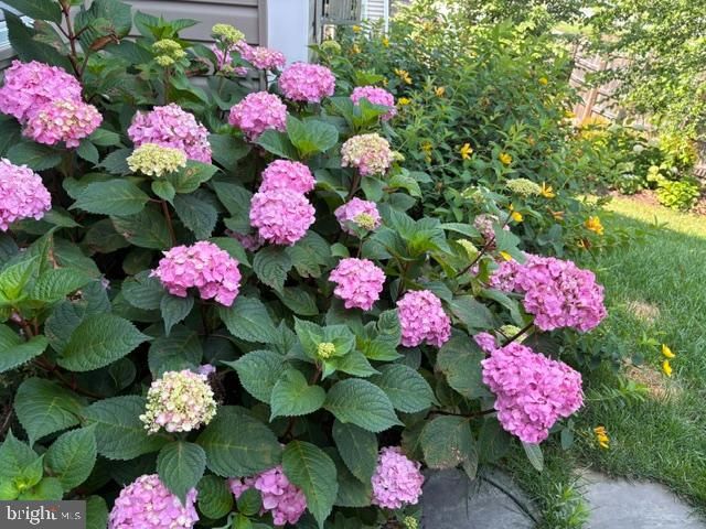 22010 BONESET WAY, Germantown, MD 20876