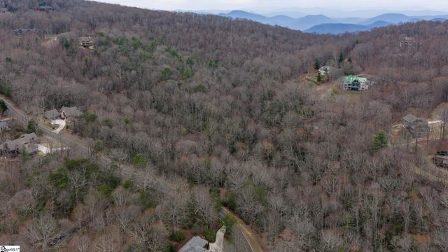 24 Blazing Star Trail, Landrum, SC 29356