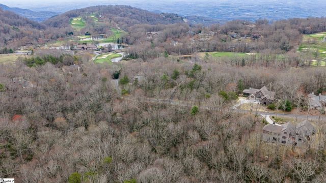 24 Blazing Star Trail, Landrum, SC 29356