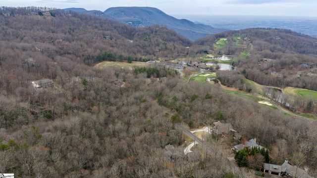 24 Blazing Star Trail, Landrum, SC 29356