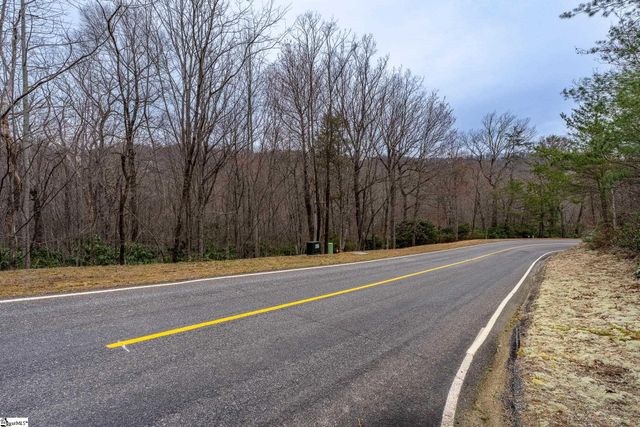 24 Blazing Star Trail, Landrum, SC 29356