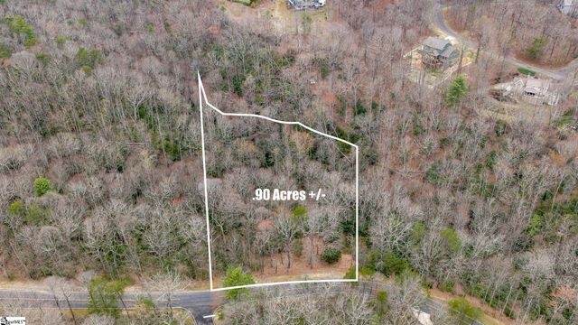 24 Blazing Star Trail, Landrum, SC 29356