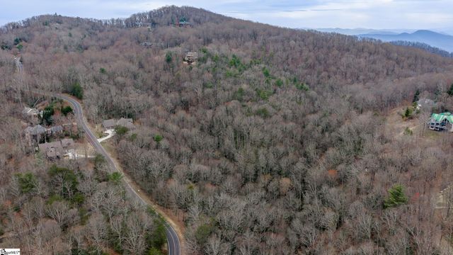 24 Blazing Star Trail, Landrum, SC 29356
