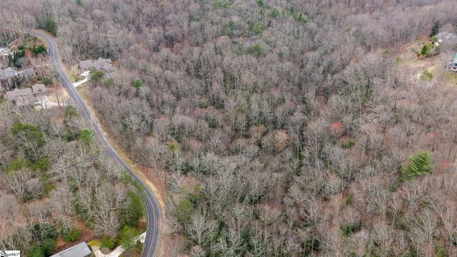 24 Blazing Star Trail, Landrum, SC 29356