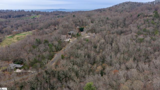 24 Blazing Star Trail, Landrum, SC 29356