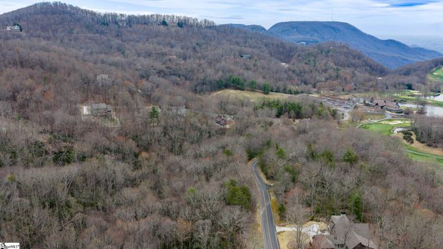 24 Blazing Star Trail, Landrum, SC 29356