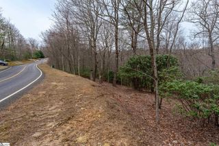24 Blazing Star Trail, Landrum, SC 29356