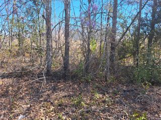 S-38-200 Laval Road, Santee, SC 29142