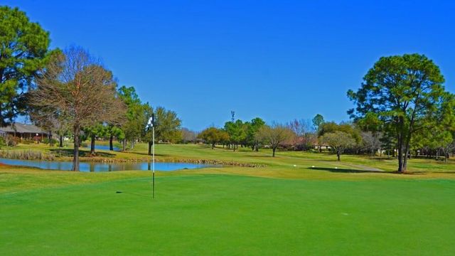 907 S Peach Hollow Court, Pearland, TX 77584