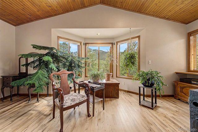 33478 Valley View Drive, Evergreen, CO 80439