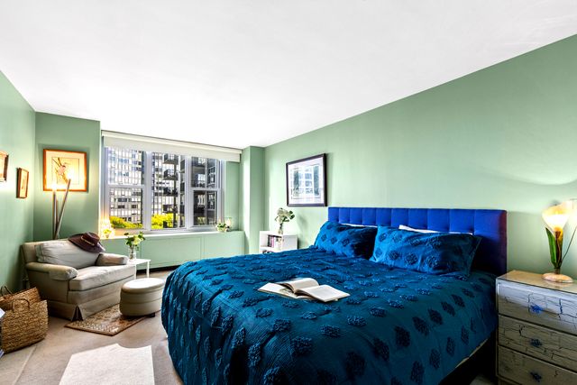 400 E Randolph Street 1223, Chicago, IL 60601