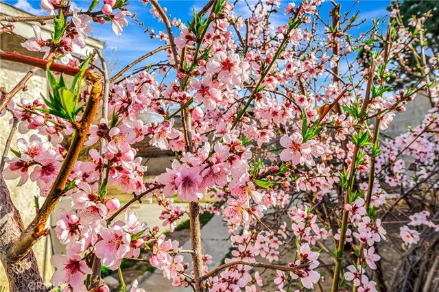 2820 E Avenue S S, Palmdale, CA 93550