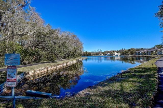 3125 LAKE PINE WAY B1, Tarpon Springs, FL 34688