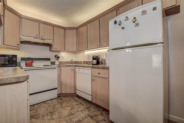 3125 LAKE PINE WAY B1, Tarpon Springs, FL 34688