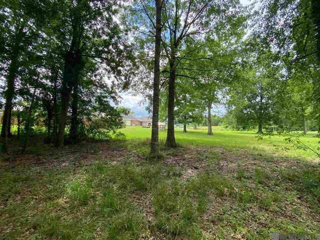 11364 Rosedale Rd, Port Allen, LA 70767