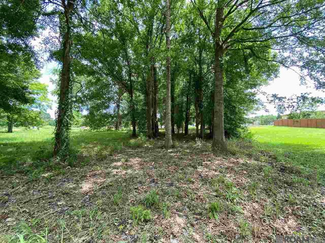 11364 Rosedale Rd, Port Allen, LA 70767