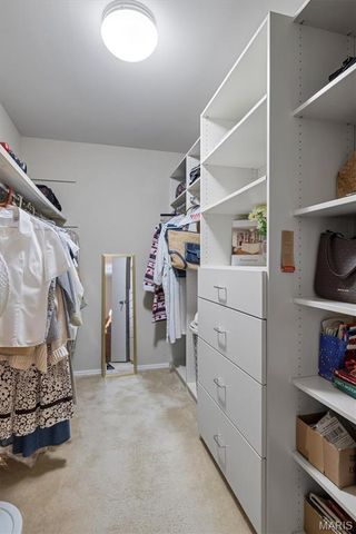 550 Coeur De Royale Drive 206, Creve Coeur, MO 63141