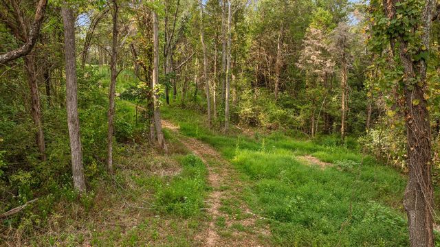 8 Sturgeon Creek Road, Cedar Hill, TN 37032