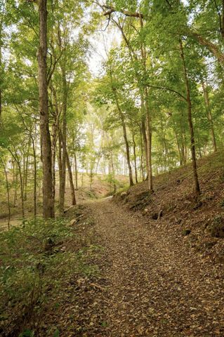 8 Sturgeon Creek Road, Cedar Hill, TN 37032