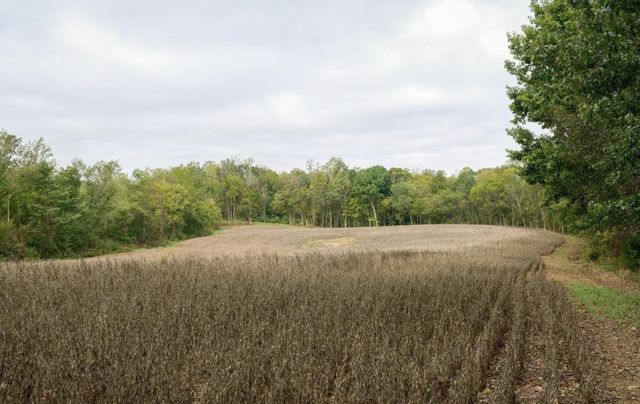 8 Sturgeon Creek Road, Cedar Hill, TN 37032