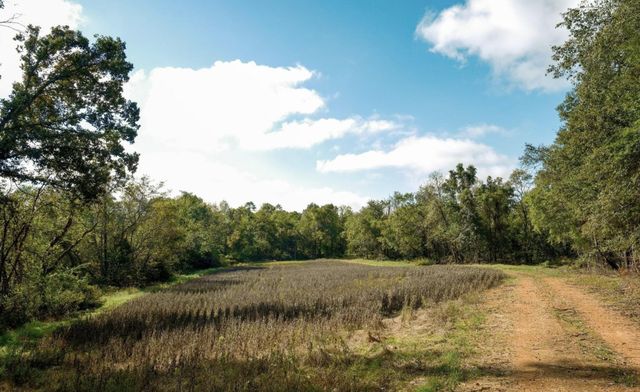 8 Sturgeon Creek Road, Cedar Hill, TN 37032