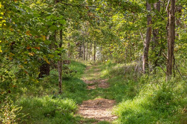 8 Sturgeon Creek Road, Cedar Hill, TN 37032