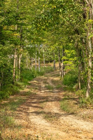 8 Sturgeon Creek Road, Cedar Hill, TN 37032