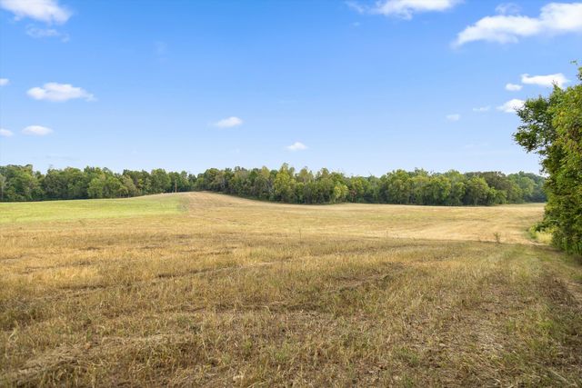 8 Sturgeon Creek Road, Cedar Hill, TN 37032