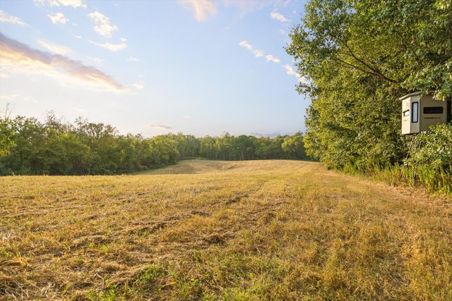 8 Sturgeon Creek Road, Cedar Hill, TN 37032