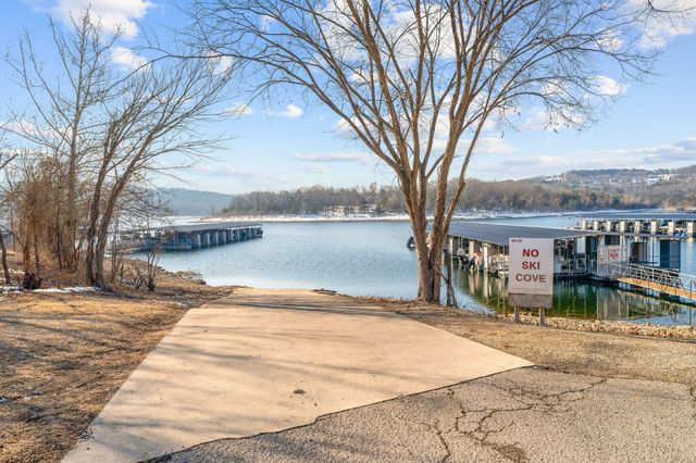 106 S Elm Street, Blue Eye, MO 65611