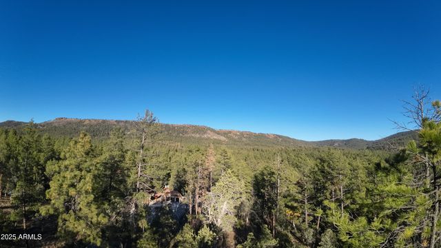 259 S MORRIS Meadows, Payson, AZ 85541