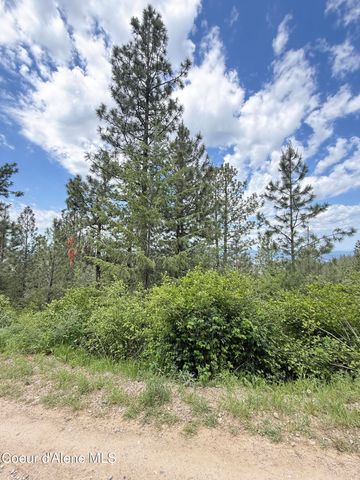 NKA S Mystery Trl, Post Falls, ID 83854