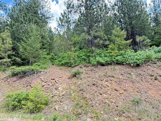 NKA S Mystery Trl, Post Falls, ID 83854