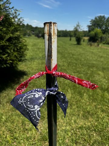 0 Old Coopertown Town Road, Springfield, TN 37172