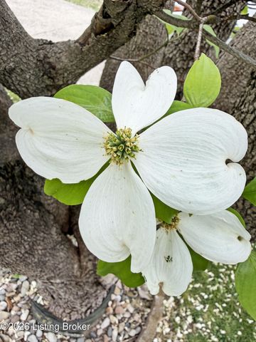 1028 Berry Blvd, Louisville, KY 40215