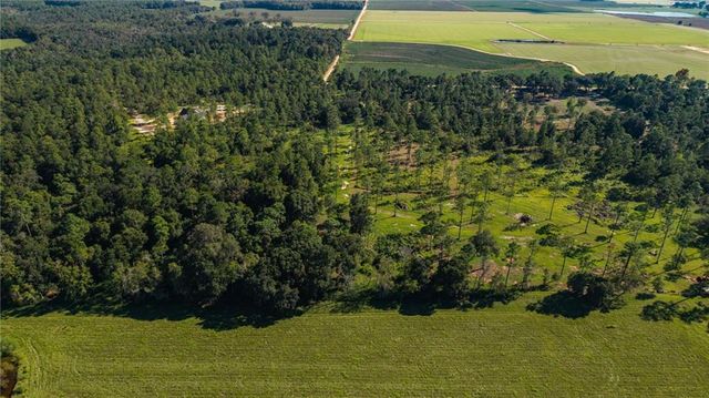 14185 Driskell Dairy Road, Mobile, AL 36695