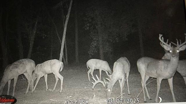14185 Driskell Dairy Road, Mobile, AL 36695