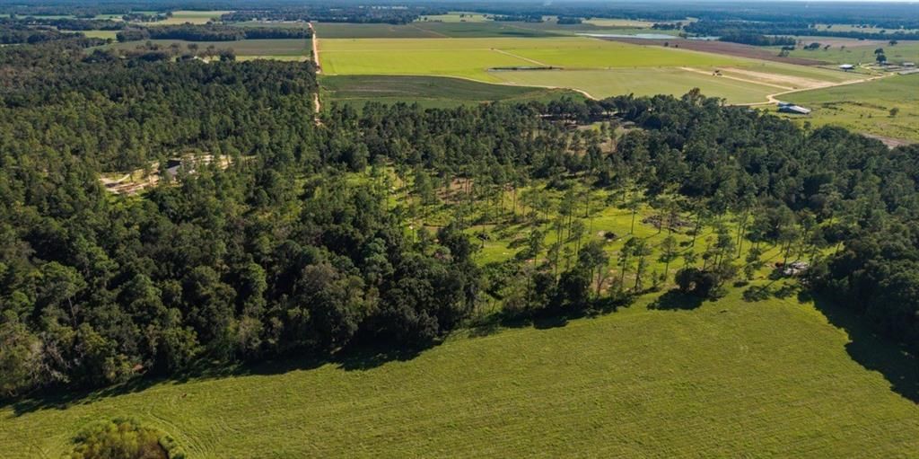 14185 Driskell Dairy Road, Mobile, AL 36695 — photo 2