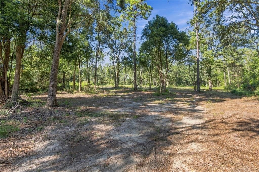14185 Driskell Dairy Road, Mobile, AL 36695 — photo 4