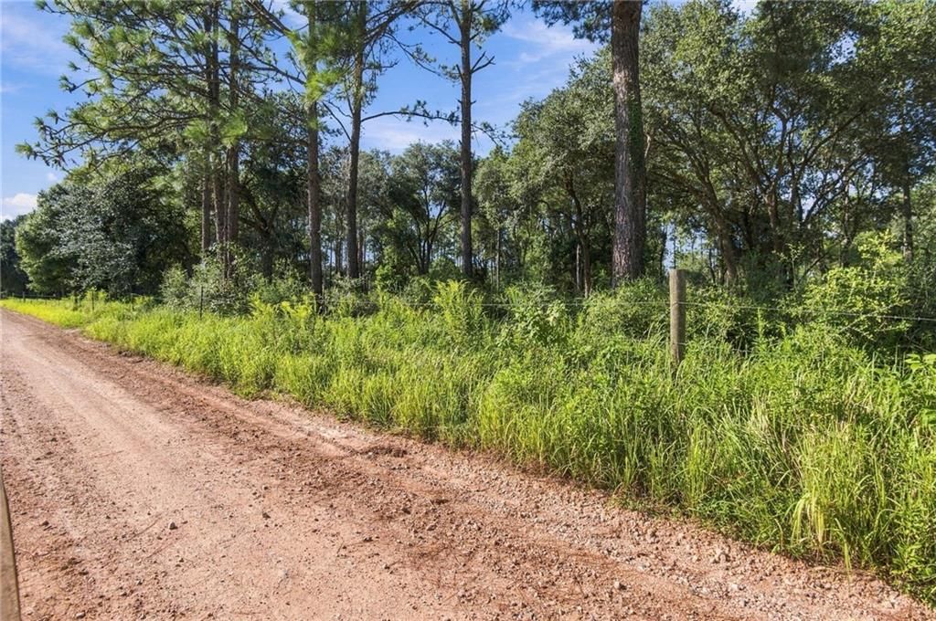 14185 Driskell Dairy Road, Mobile, AL 36695 — photo 5