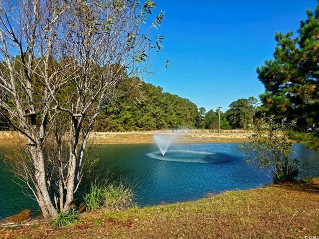 235 Hickory Springs Ct., Conway, SC 29527