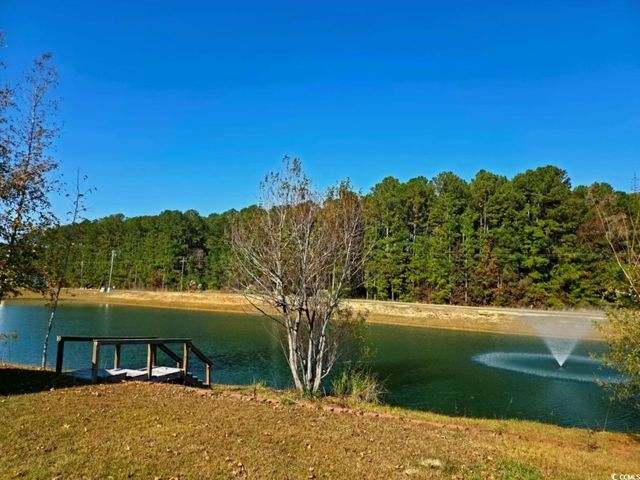 235 Hickory Springs Ct., Conway, SC 29527